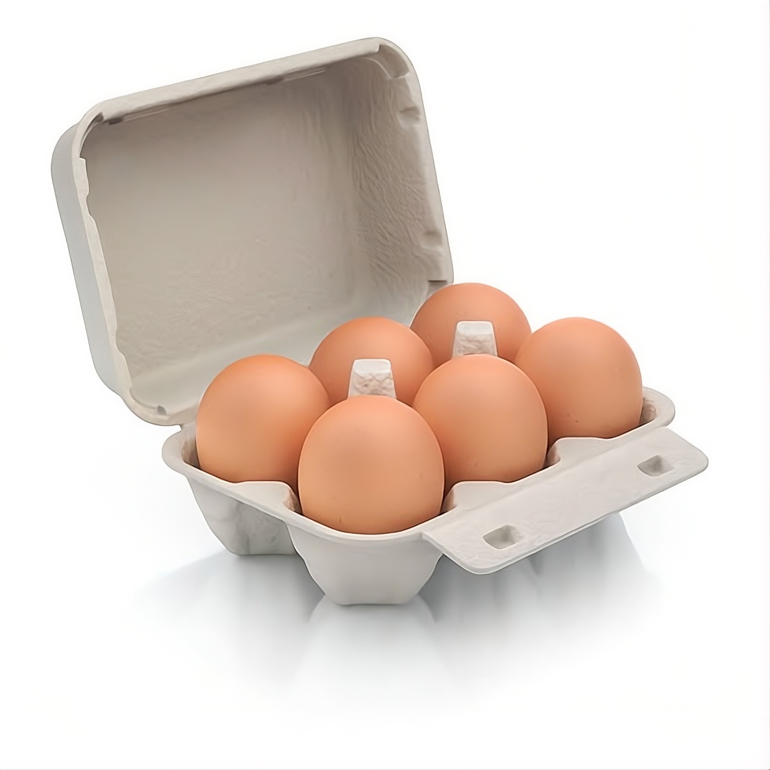 6 Eggs